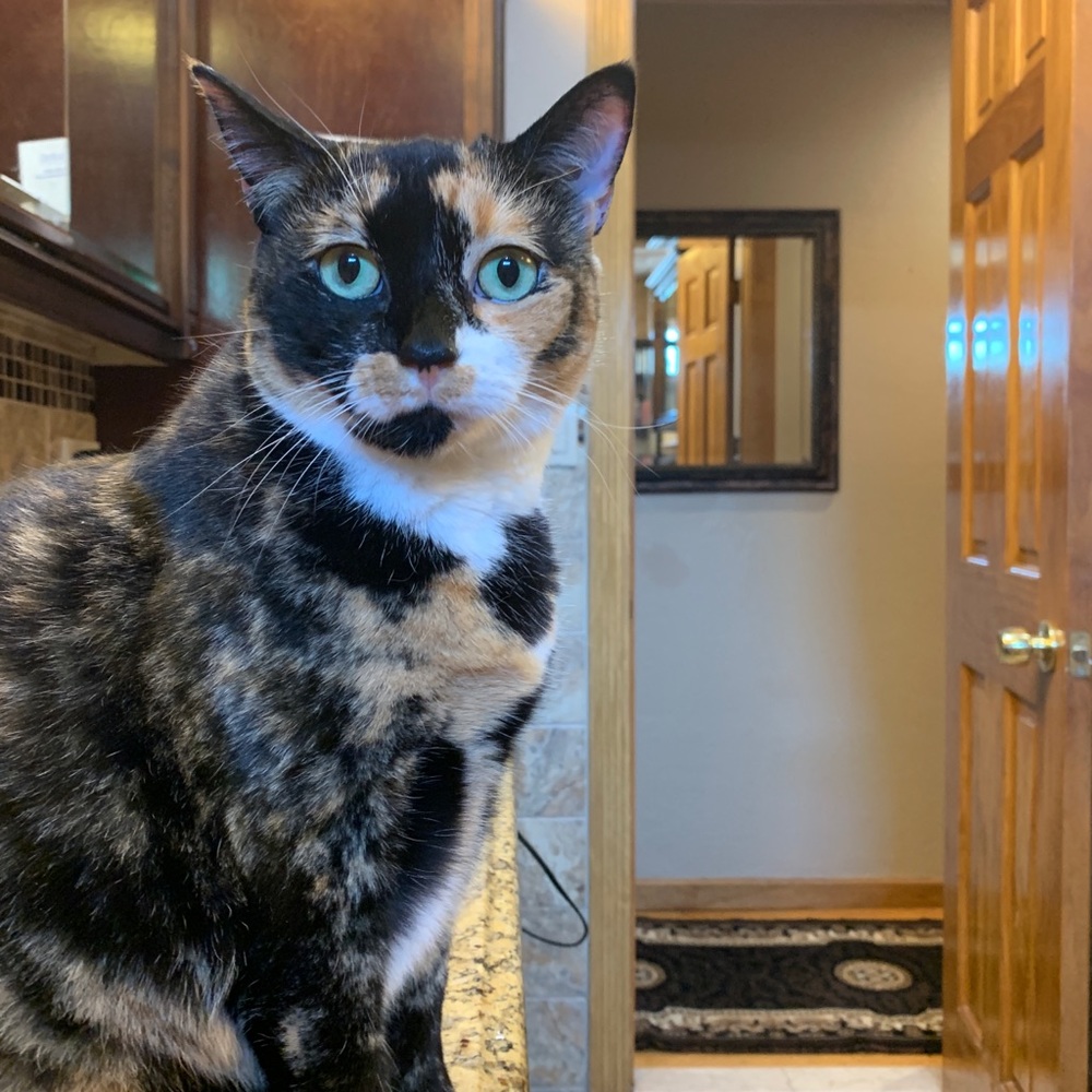 Meet your Posher, Jennifer